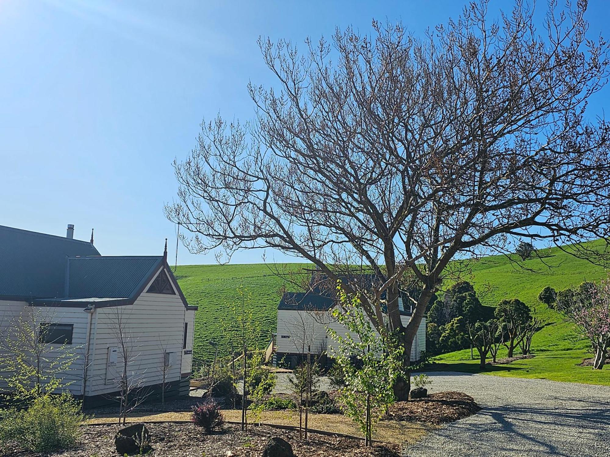 Maple Ridge Cottages Dumbalk 外观 照片